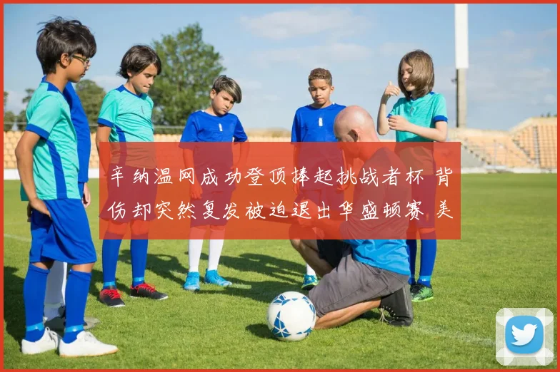 辛纳温网成功登顶捧起挑战者杯 背伤却突然复发被迫退出华盛顿赛 美网参赛成疑
