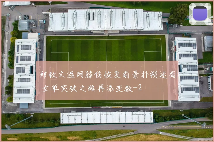 郑钦文温网膝伤恢复前景扑朔迷离 女单突破之路再添变数