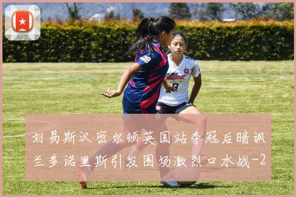 刘易斯汉密尔顿英国站夺冠后暗讽兰多诺里斯引发围场激烈口水战